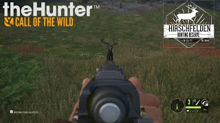 Hirschfelden Corzo y Ciervo Común  TheHunter Call of the Wild [upl. by Lotsyrk]