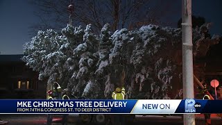 Milwaukee Christmas tree delivered for holiday season [upl. by Adidnere]