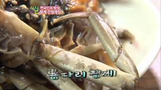 Y Star 식신로드 Gourmet Road ep118 130223 후지이 미나 Fujii Mina [upl. by Tull]