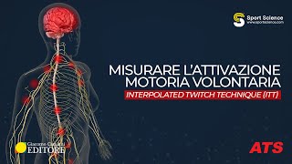 Misurare lattivazione motoria volontaria attraverso lL’Interpolated Twitch Technique ITT [upl. by Halivah]