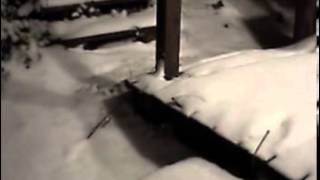 Timelapse of accumulating and melting snow January 14 2008 [upl. by Douglas]