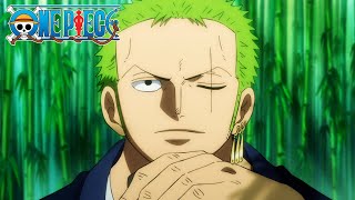 Zoro Pours One Out For the Boys  One Piece [upl. by Oitaroh]