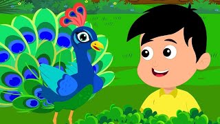 nache re mor  titli rani  ek mota hathi amp more rhymes  hindi rhymes for toddlers [upl. by Alyad141]