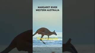 Margaret River A Paradise for Wine Waves and Kangaroos [upl. by Annalee]