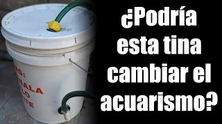 Remover Nitratos SIN Cambio de Agua o Plantas  Experimento de 100 dias [upl. by Aiduan]