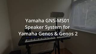 Yamaha Genos in built demo tunes recorded with an SR3D Basic microphone [upl. by Cleo]