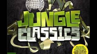 12 DJ Hype Feat Ganja Max  Rinse Out Jungle Classics [upl. by Ailat]