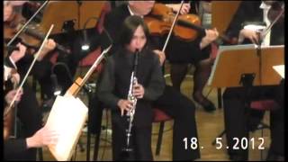 Carl Stamitz Clarinet Concerto No 3  3Rondo [upl. by Assele254]