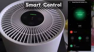 Xiaomi Smart Air Purifier 4 Compact [upl. by Inohs]