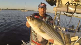 Freshwater Stripers Planer floats and Planer Board tactics [upl. by Willett]