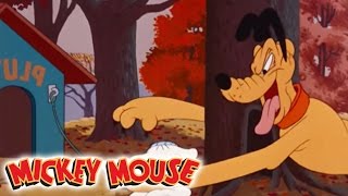 Micky Maus Kicherkracher  Kurzfilm Kampf um jede Nuss  Disney Channel [upl. by Kuehnel]