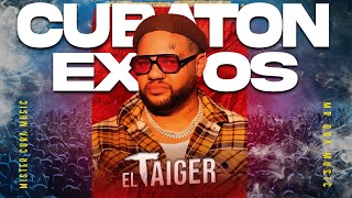 MIX Cubaton El Taiger Exitos [upl. by Cryan222]