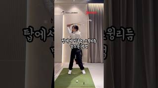 좋은 스윙리듬 갖고 싶따 골프연습 골프레슨 골프스윙 골프 golfswing golf [upl. by Lalise]