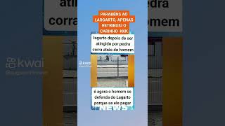 O LAGARTO DEPOIS DE SER ATINGIDO POR PEDRAS CORREU ATRÁS DO HOMEM curiosidades notícias [upl. by Cirle]