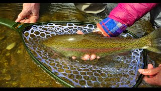 Early Spring on the Yakima River with Reds Fly Shop [upl. by Teria]