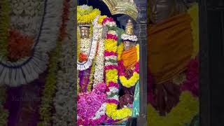 kanchipuram murgan temple kanchipuramkings trending god [upl. by Philippe]