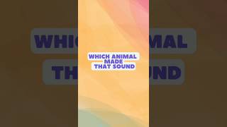 The Quackiest Challenge GuessTheSound SoundSafari MysteryQuack [upl. by Muns948]