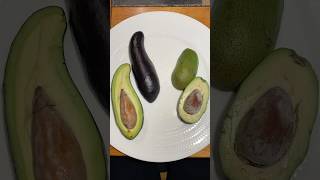 Long South Gate and Aravaipa Avocados [upl. by Reinhart]