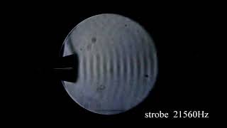 Schlieren imaging Part3  Viewing continuous sound waves [upl. by Barnabe885]