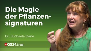 Entdecken Sie die Welt der Pflanzensignaturen  Erfahrungsmedizin  QS24  Gesundheitsfernsehen [upl. by Bonneau]