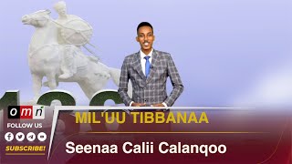 OMN Miluu Tibbanaa Irra Deebii Yaadannoo Calii Calanqoo Waggaa 136ffaa Gur 18 2024 [upl. by Sabu]