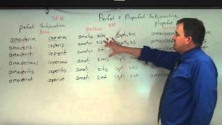 Perfect and Pluperfect Subjunctive in Latin [upl. by Devlen406]