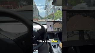 Tesla Auto Park đź¤Ż tesla autopark parking modely [upl. by Nyer370]