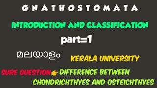 BSC ZOOLOGYMODULE2GNATHOSTOMATAPISCESINTRODUCTION AND CLASSIFICATIONPART1kerala university [upl. by Biddy]