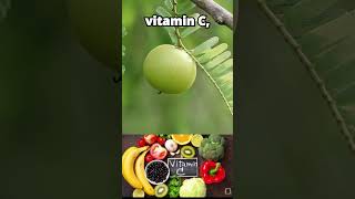 Amla health benefits amla healthyfood shorts [upl. by Einalam]