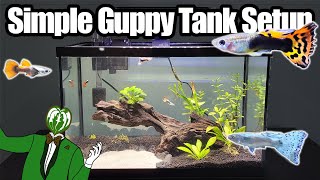 Simple 5 Gallon Guppy Tank Setup [upl. by Tammy19]