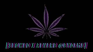 métele mijo alexis amp fido slowed x reverb byDFMS Sobrenatural [upl. by Lamek]