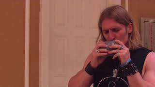 Will Wilde Trying Out the Harmonicaster Mk II Electric Harmonica  SPAH 2018 [upl. by Canning]