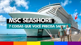 Viagem de Cruzeiro no Brasil MSC SEASHORE  7 Coisas que você Precisa Saber [upl. by Dasteel]