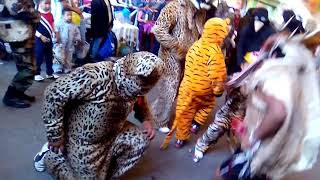 DANZA DE LOS LOBITOS SANTA CRUZ ATIZAPÁN 2017 [upl. by Tonnie388]