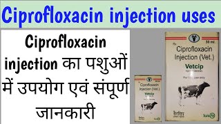 ciprofloxacin injection uses । vetcip injection uses in Hindi । vetcip किस बीमारी में प्रयोग करें।। [upl. by Dupuis]