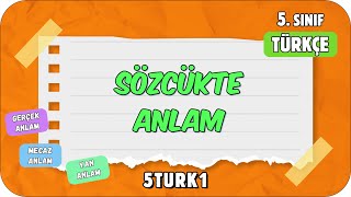 Sözcükte Anlam 📙 tonguçCUP 1Sezon  5TURK1 2024 [upl. by Willman]