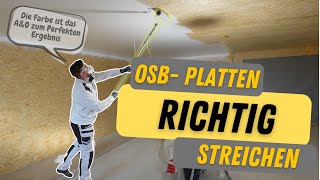 OSB richtig streichen MEGA Absperrgrund Wagner PP90 [upl. by Wehttan672]