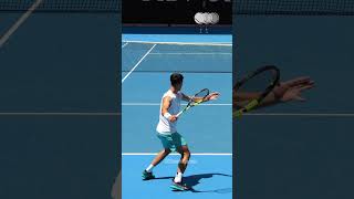 Forehand Compilation  Carlos Alcaraz Slow Motion Back View 2 Shorts [upl. by Kelwen]