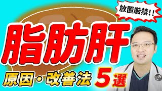 【 放置厳禁 】脂肪肝 の 原因 と治 療法 ５選 [upl. by Scevor]