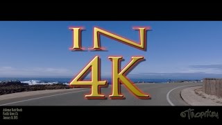 Asilomar State Beach Drive in 4K  Pacific Grove and Monterey California [upl. by Fisch]