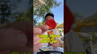 FLAMIN’ PICKLE IS WHAT YOU NEED RIGHT NOW 😮‍💨 hotcheetos pickle flaminhot disney disneyland [upl. by Petuu360]