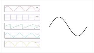 Basic Waveforms [upl. by Amelita]