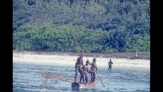 North Sentinel Island  What is hidden on the island [upl. by Nahtnahoj740]