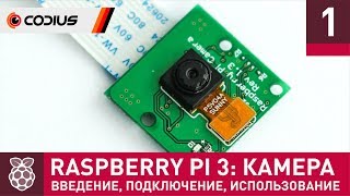 Raspberry Pi 3 Камера 1 – введение подключение базовые утилиты TimeLapse библиотека PiCamera [upl. by Amble704]