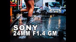 First Look at the SONY 24mm f14 GM Lens with Dave Krugman [upl. by Cirderf]