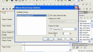 Crystal Reports Tutorial Hierarchical Grouping Business Objects Training Lesson 75 [upl. by Cost]