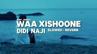 WAA XISHOONE  DIDI NAJI × SLOWED × REVERB  SETMUSIC2 [upl. by Kciredohr625]