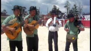 Grupo Variedades del Sur  Campesino Salsita [upl. by Aid]