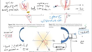 ECG part2 vectorial analysisDeviationcurrent of injury شرح [upl. by Blane]