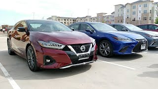 Nissan Maxima Platinum or Lexus ES 350 F Sport [upl. by Elinnet313]